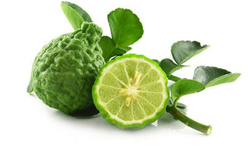 Bergamot Essential Oil