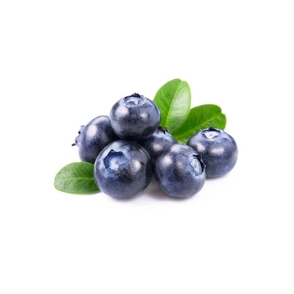 Blueberry Extract