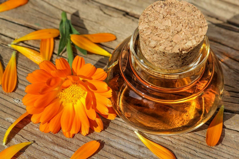 Calendula oil (120 ml) - زيت الآذريون