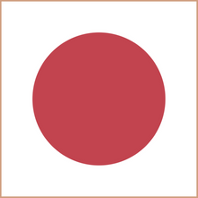 Candle coloring chips (5 chips)