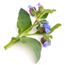 Comfrey Oil (30 ml )
