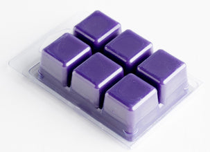 صدفة بلاستيكية فارغة (5 قطع)