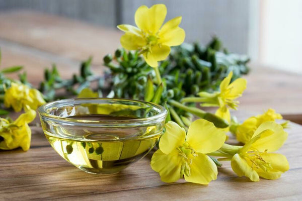 Evening Primrose oil (30 ml)