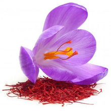 Saffron Oil (30 ml)