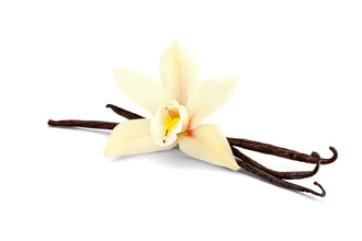 Vanilla Essential Oil (30 g)