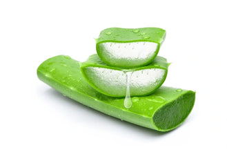 Soft Aloevera Butter - زبدة الصبار الناعمة